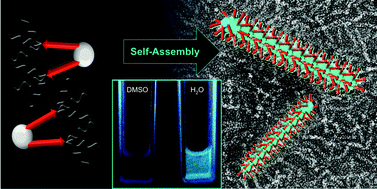 Graphical abstract: Probing the self-assembly and stability of oligohistidine based rod-like micelles by aggregation induced luminescence
