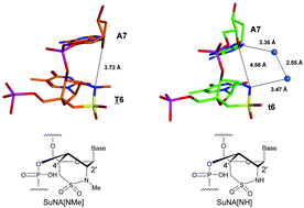 Graphical abstract: Effect of an N-substituent in sulfonamide-bridged nucleic acid (SuNA) on hybridization ability and duplex structure