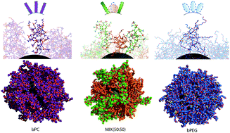 Graphical abstract: Brushed polyethylene glycol and phosphorylcholine for grafting nanoparticles against protein binding