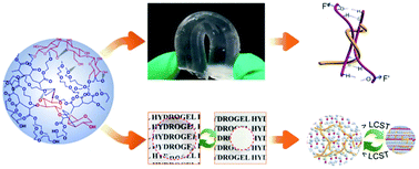 Graphical abstract: Mechanically strong and thermosensitive hydrogels reinforced with cellulose nanofibrils