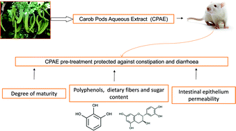 Graphical abstract: Effects of aqueous extracts from Ceratonia siliqua L. pods on small intestinal motility in rats and jejunal permeability in mice