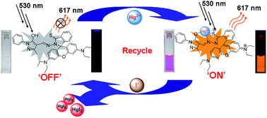 Graphical abstract: A rhodamine-based sensor for Hg2+ and resultant complex as a fluorescence sensor for I−