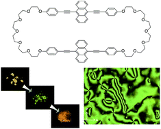 Graphical abstract: Tuning the thermo- and mechanoresponsive behavior of luminescent cyclophanes