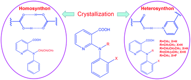 Graphical abstract: Preferred formation of the carboxylic acid–pyridine heterosynthon in 2-anilinonicotinic acids