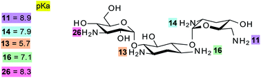 Graphical abstract: Solubility study of tobramycin in room temperature ionic liquids: an experimental and computational based study