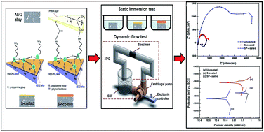 Graphical abstract: The influence of silane and silane–PMMA coatings on the in vitro biodegradation behavior of AE42 magnesium alloy for cardiovascular stent applications