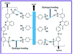 Graphical abstract: Nanocomposite membranes of sulfonated poly(phthalalizinone ether ketone)–sulfonated graphite nanofibers as electrolytes for direct methanol fuel cells