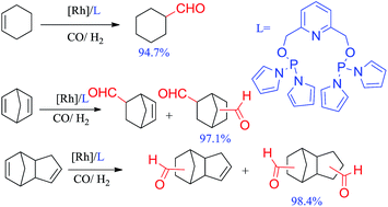 Graphical abstract: Synthesis and application of PNP pincer ligands in rhodium-catalyzed hydroformylation of cycloolefins