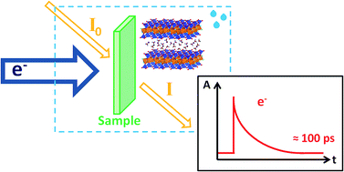Graphical abstract: Reaction mechanisms in swelling clays under ionizing radiation: influence of the water amount and of the nature of the clay mineral