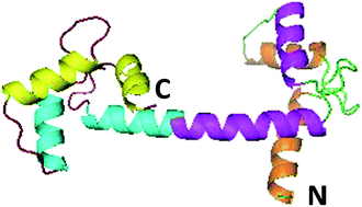 Graphical abstract: Regulation of centrin self-assembly investigated by fluorescence resonance light scattering