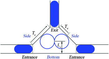 Graphical abstract: Droplet coalescence at microchannel intersection chambers with different shapes