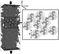 Graphical abstract: Universality in consolidation of colloidal gels