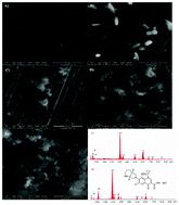 Graphical abstract: Electrochemical behavior of surgical 316L stainless steel eye glaucoma shunt (Ex-PRESS) in artificial aqueous humor