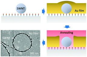 Graphical abstract: Preferential dewetting of gold thin films on single walled carbon nanotubes to produce nanogap electrodes