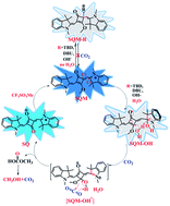 Graphical abstract: A squaraine-based sensor for colorimetric detection of CO2 gas in an aqueous medium through an unexpected recognition mechanism: experiment and DFT calculation