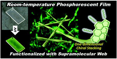 Graphical abstract: A room-temperature phosphorescent polymer film containing a molecular web based on one-dimensional chiral stacking of a simple luminophore