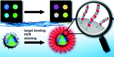 Graphical abstract: Hybridization chain reactions on silica coated Qbeads for the colorimetric detection of multiplex microRNAs