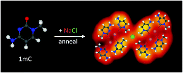 Graphical abstract: Structural diversity of metal–organic self-assembly assisted by chlorine