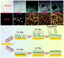 Graphical abstract: In situ atomic force microscopy study of nano–micro sodium deposition in ester-based electrolytes