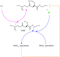 Graphical abstract: A negative feedback loop based on proton-driven in situ formation of plasmonic molybdenum oxide nanosheets