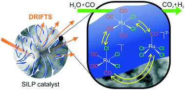 Graphical abstract: Dynamic equilibria in supported ionic liquid phase (SILP) catalysis: in situ IR spectroscopy identifies [Ru(CO)xCly]n species in water gas shift catalysis