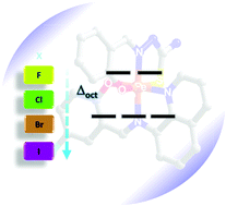 Graphical abstract: Heteroleptic iron(iii) Schiff base spin crossover complexes: halogen substitution, solvent loss and crystallite size effects