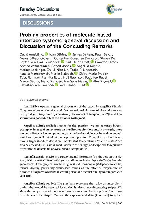 Probing properties of molecule-based interface systems: general discussion and Discussion of the Concluding Remarks