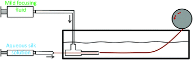 Graphical abstract: Straining flow spinning: production of regenerated silk fibers under a wide range of mild coagulating chemistries