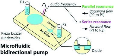 Graphical abstract: Frequency tuning allows flow direction control in microfluidic networks with passive features