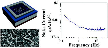 Graphical abstract: High-performance Schottky heterojunction photodetector with directly grown graphene nanowalls as electrodes