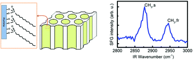 Graphical abstract: Nanocylindrical confinement imparts highest structural order in molecular self-assembly of organophosphonates on aluminum oxide
