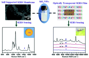 Graphical abstract: Silica nanowire assemblies as three-dimensional, optically transparent platforms for constructing highly active SERS substrates