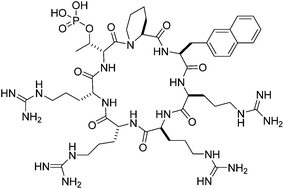 Graphical abstract: Generation of a cell-permeable cycloheptapeptidyl inhibitor against the peptidyl–prolyl isomerase Pin1