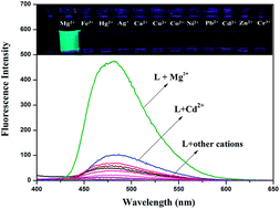 Graphical abstract: A turn-on fluorescent chemosensor based on acylhydrazone for sensing of Mg2+ with a low detection limit