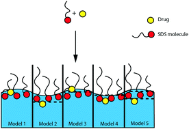 Graphical abstract: Towards optimised drug delivery: structure and composition of testosterone enanthate in sodium dodecyl sulfate monolayers