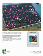 Graphical abstract: Back cover