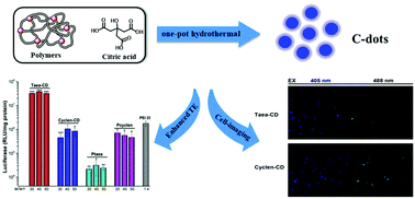 Graphical abstract: Cationic polymer-derived carbon dots for enhanced gene delivery and cell imaging