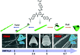Graphical abstract: Nanotrumpets and circularly polarized luminescent nanotwists hierarchically self-assembled from an achiral C3-symmetric ester