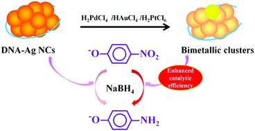 Graphical abstract: DNA-templated silver and silver-based bimetallic clusters with remarkable and sequence-related catalytic activity toward 4-nitrophenol reduction