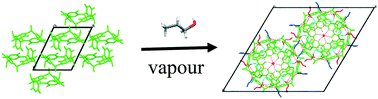 Graphical abstract: A propanol-seamed C-methylcalix[4]resorcinarene hexamer accessible via solution crystallization, liquid-assisted grinding and vapour sorption