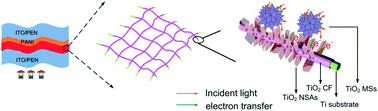 Graphical abstract: Growth of hierarchical TiO2 flower-like microspheres/oriented nanosheet arrays on a titanium mesh for flexible dye-sensitized solar cells
