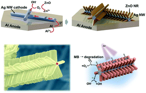 Graphical abstract: Facile synthesis of Ag/ZnO metal–semiconductor hierarchical photocatalyst nanostructures via the galvanic-potential-enhanced hydrothermal method