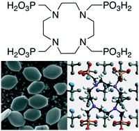 Graphical abstract: Can macrocyclic phosphonate molecules inhibit barium sulfate crystallization?