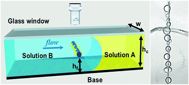 Graphical abstract: Growth of nanodroplets on a still microfiber under flow conditions