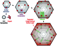 Graphical abstract: Multifunctional nanostructured Co-doped ZnO: Co spatial distribution and correlated magnetic properties