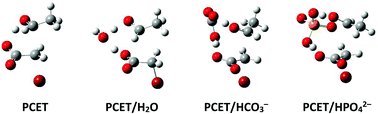 Graphical abstract: Proton-coupled electron transfer is the dominant mechanism of reduction of haloacetates by the α-hydroxyethyl radical in aqueous media