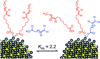 Graphical abstract: Exchange equilibria of carboxylate-terminated ligands at PbS nanocrystal surfaces