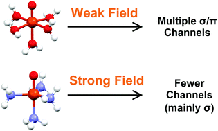 Graphical abstract: Ligand field effects on the ground and excited states of reactive FeO2+ species