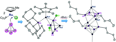 Graphical abstract: Ruthenium mediated halogenation of white phosphorus: synthesis and reactivity of the unprecedented P4Cl2 moiety