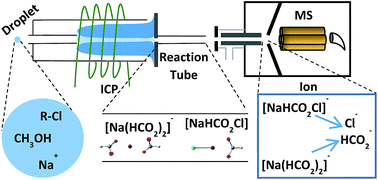 Graphical abstract: Mechanistic insights into chloride ion detection from the atmospheric-pressure afterglow of an argon inductively coupled plasma